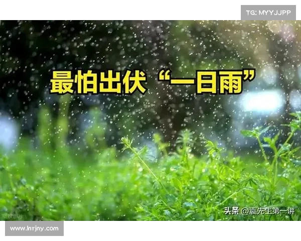 “夏至”落哪天?记住一句老话:白天下雨丰收年,晚上放晴要当心 “夏至”落哪天?记住一句老话:白天下雨丰收年,晚上放晴要当心